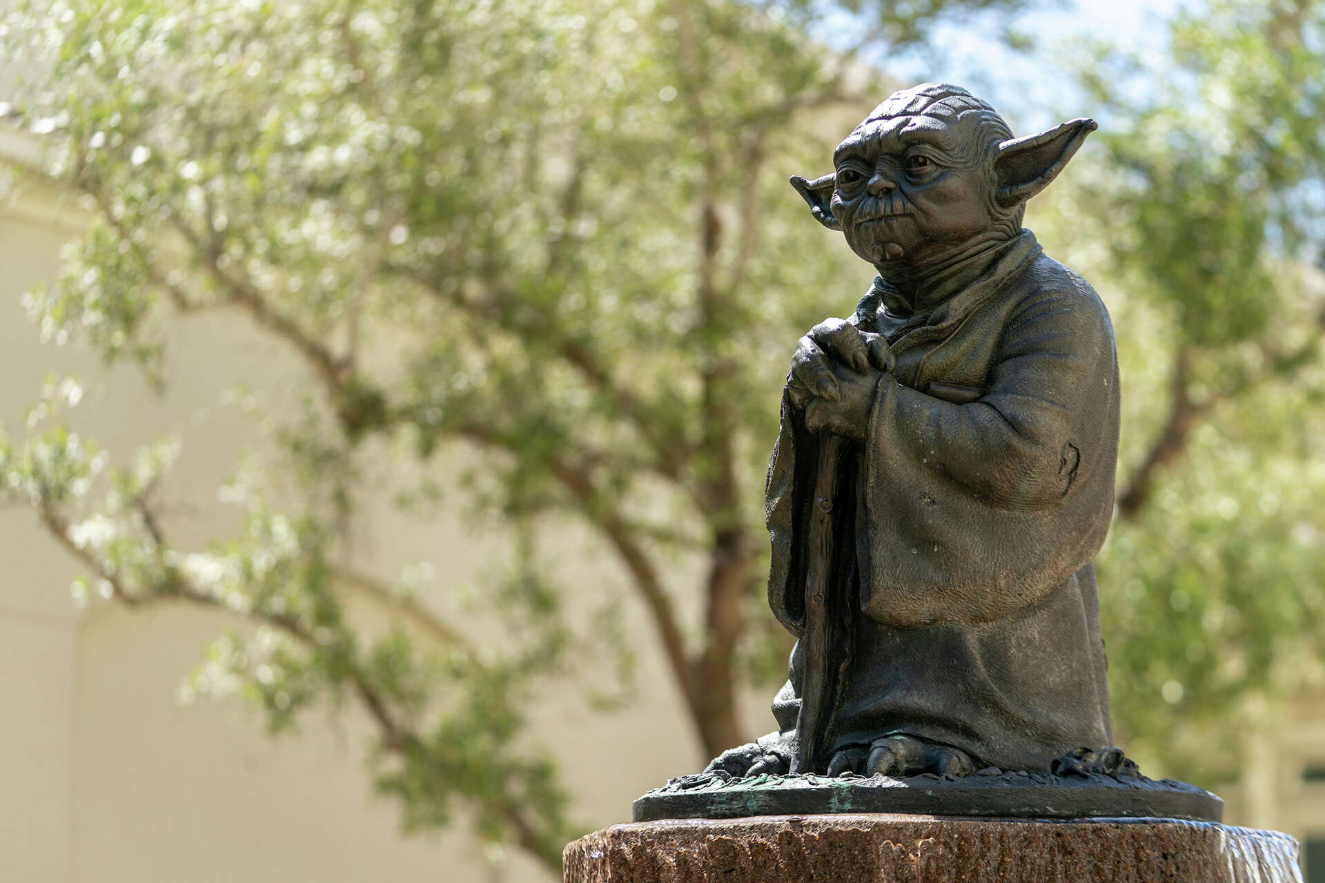 Yoda